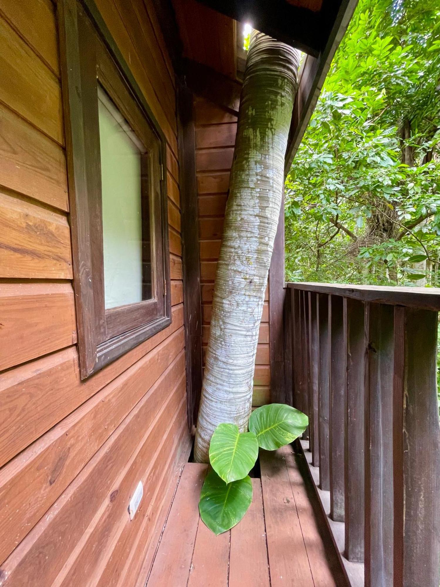 Platon Ecolodge Barahona Exteriör bild